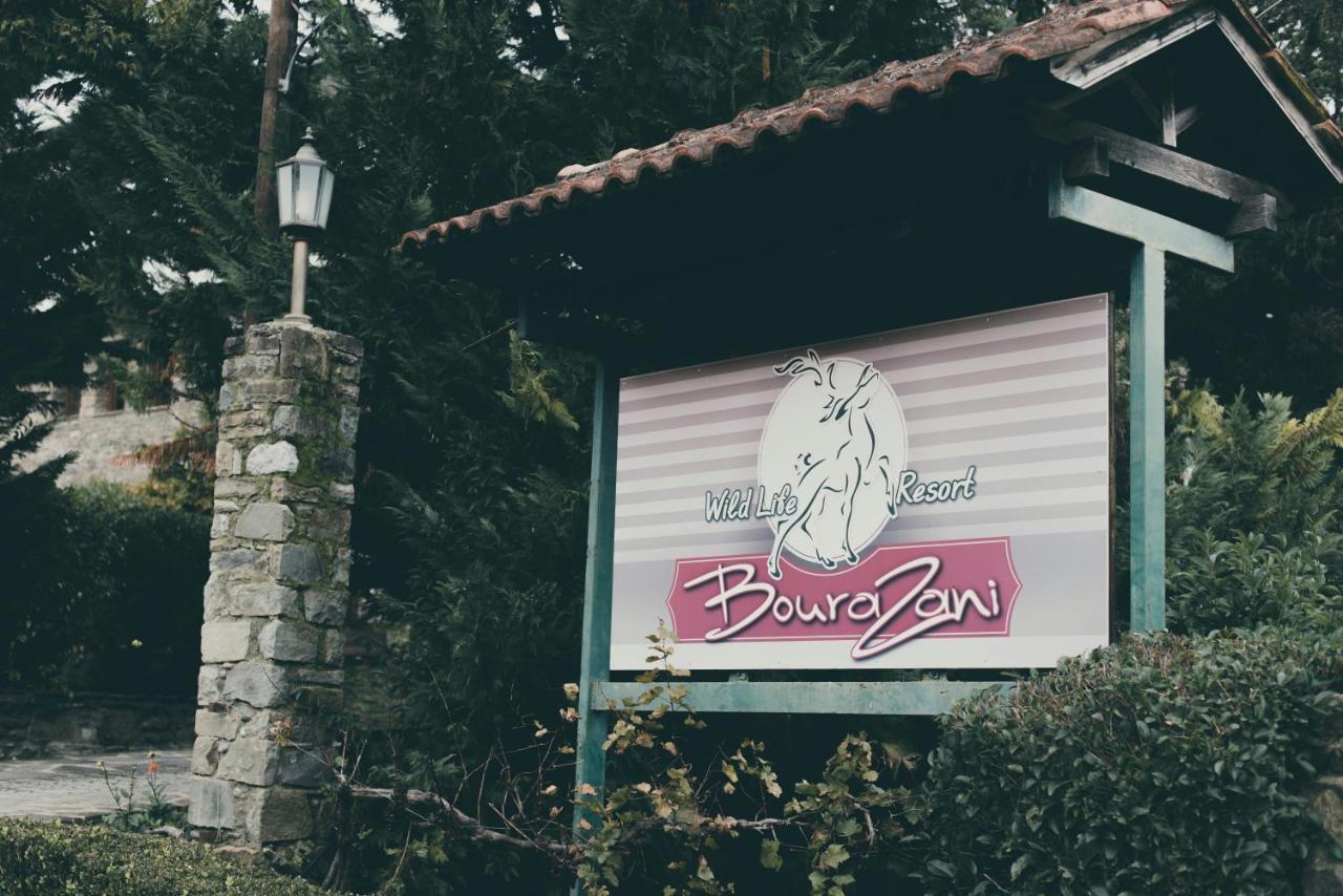 Bourazani Wild Life Resort Konitsa Exteriör bild
