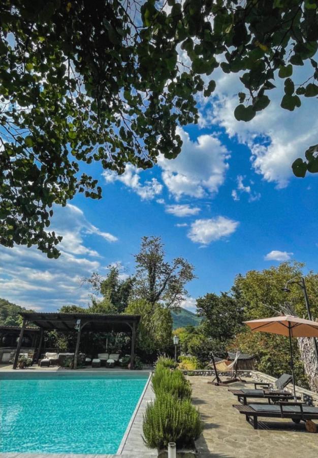 Bourazani Wild Life Resort Konitsa Exteriör bild