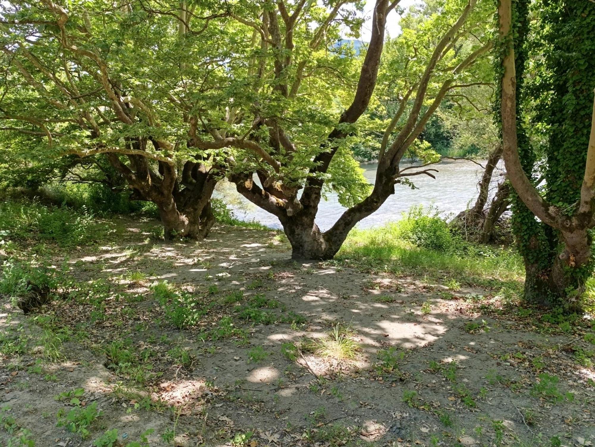 Bourazani Wild Life Resort Konitsa Exteriör bild