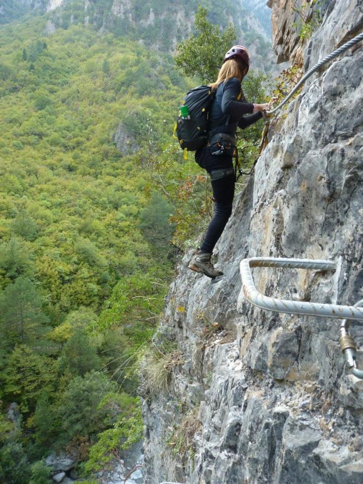Bourazani Wild Life Resort Konitsa Exteriör bild